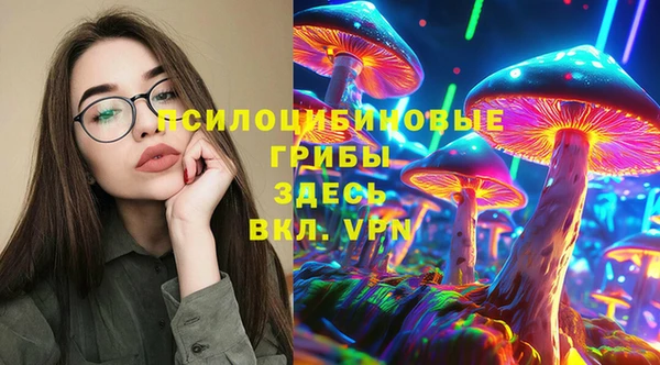 хмурый Михайловск