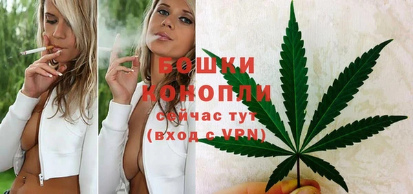 твердый Михайловка