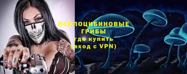 хмурый Михайловск